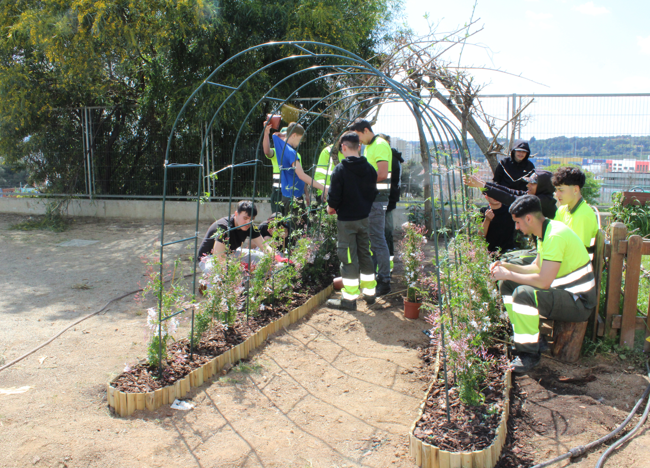 Imatge pels mitjans: Pla de Desenvolupament Econòmic 2025-2027